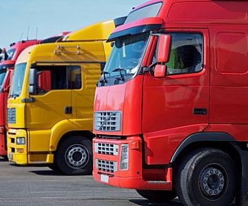 �L(zh��ng);��S